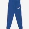 Boys Logo Joggers In Blue