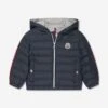 Baby Boys Down Padded Baty Jacket In Navy
